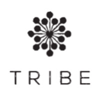 Tribe Dubai logo - Similar company to Designitch