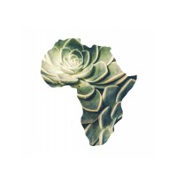African Rose Adventures logo - Similar company to Podium