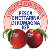 Consorzio di Tutela Pesca e Nettarina di Romagna IGP logo - Similar company to Rpatutorials.Com