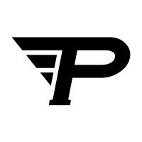 PRO EXPERT SERVICES SECURITE PRIVEE logo - Similar company to Pro Expert Services