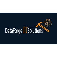 DataForge IT Solutions logo - Similar company to Dataforge