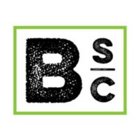 Blocks Soft Corporation logo - Similar company to Catalyst Management