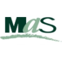 Management Advisory Services