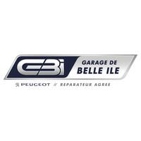 GARAGE DE BELLE ILE PEUGEOT logo - Similar company to Memphis Coffee Le Mans
