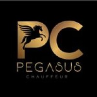 Pegasus Chauffeur Limited logo - Similar company to Pegasus Chauffeur