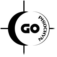 PisochynGo logo - Similar company to Thinktank Labs