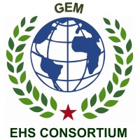 Global Envirosafety Management Private Limited logo - Similar company to Institute Of Health And Safety Management