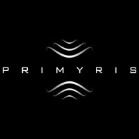 Primyris logo - Similar company to Idlia Studio