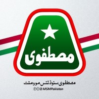 Mustafavi Students Movement Pakistan logo - Similar company to Nanoenergetix Tech Solutions