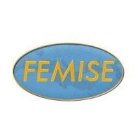 FEMISE Network logo - Similar company to Institut Présaje