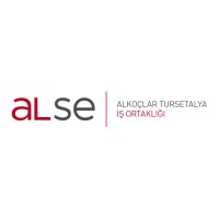 ALSE logo - Similar company to Alse Data Technology