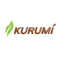 Kurumi Alimentos logo - Similar company to Fruta Imperfeita