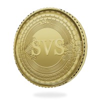SVS Coin logo - Similar company to Svs Vr