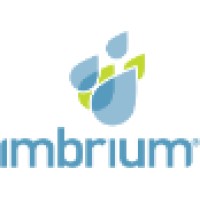 Imbrium Systems logo - Similar company to Imbrium Tech