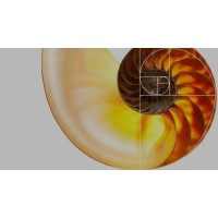 Concept Consultancy structural designers limited logo - Similar company to Zone In Technologies