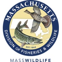 MassWildlife