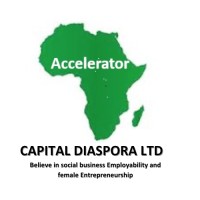 Capital Diaspora Ltd logo - Similar company to Cyber Sat. Afrika Technology