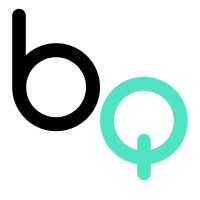 ByteQuery logo - Similar company to Data Cliff