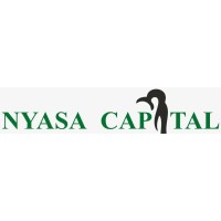 Nyasa Capital logo - Similar company to Digifin