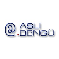 ASLI BENGÜ DIŞ. TİC. LTD. ŞTİ. logo - Similar company to Santullan
