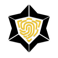 Blockstars Forensics logo - Similar company to Dhcc Australia
