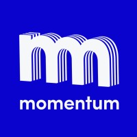 Momentum Group NZ logo - Similar company to Nutech Security Ltd