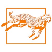 Aurel Steinert Foundation logo - Similar company to Sate