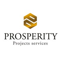 Prosperity Projects Services logo - Similar company to Ice Cola