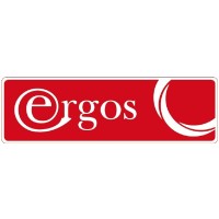 Ergos, Online Advertising Group