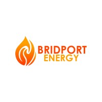 Bridport Energy logo - Similar company to Zencoproperties