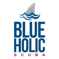 Blue Holic Scuba logo - Similar company to Institute Of Global Exchange