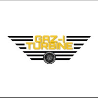 Gaz-i Turbine logo - Similar company to Reddlyne Inc.