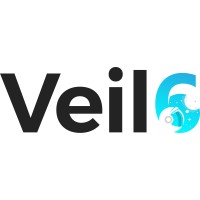 Veil6 logo - Similar company to Hityr