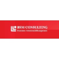 Bsm Consulting