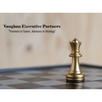 Vaughan Executive Partners, LLC logo - Similar company to Nxt Level Golf