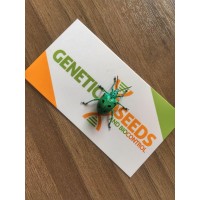 GeneticSeeds and Biocontrol logo - Similar company to Biocontrol Systems, Inc.