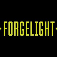 ForgeLight, LLC logo - Similar company to Ouro