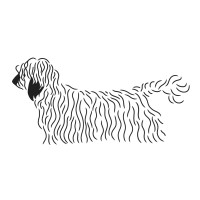 Olivia Foundation logo - Similar company to L'Ensemble