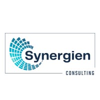 Synergien Consulting