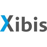 Xibis logo - Similar company to Robinrocks