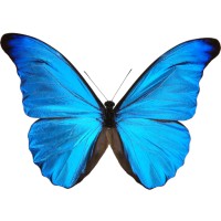 Cypris Tech logo - Similar company to Cgtechs Technologies