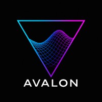 AVALON NETWORK logo - Similar company to Avalon Network Systems Llc