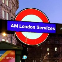 AM London Services logo - Similar company to Bison Sales Consulting
