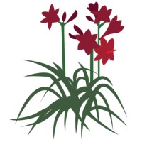 Plants By Design Inc logo - Similar company to Gardeneer Landscape Inc.