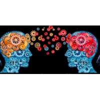 Brain-Based Workplace, LLC logo - Similar company to Applied Mindfulness Program