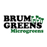 Brum Greens Microgreens logo - Similar company to Engineers Australia Canberra Division