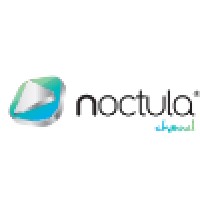 NOCTULA Channel logo - Similar company to Startup Thinking