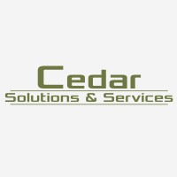Cedar Solutions and Services logo - Similar company to Future Epoch Global Management Consulting