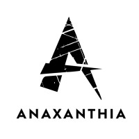 Anaxanthia logo - Similar company to Bolt Blaster Games