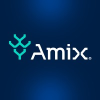 AMIX Serviços de Informática logo - Similar company to Avanti Systems Ltda